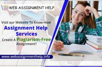 Plagiarism Free Assignment