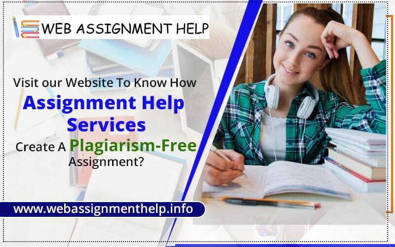 Plagiarism Free Assignment